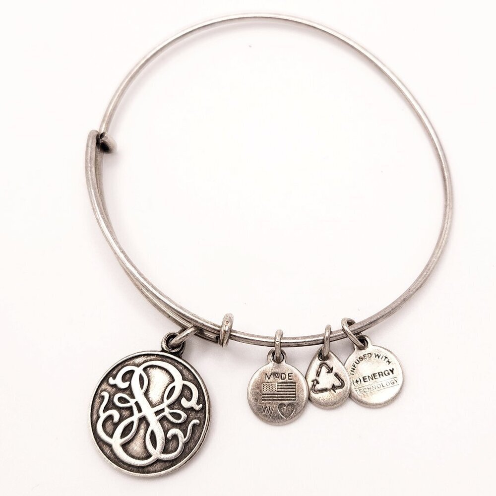 Alex and Ani Path of  Life Celtic Boho Infinity Charm Silver Bangle Bracelet